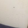 zachary_bailey